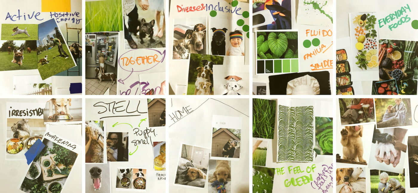 cba latam dogchow single 2 2400x1600