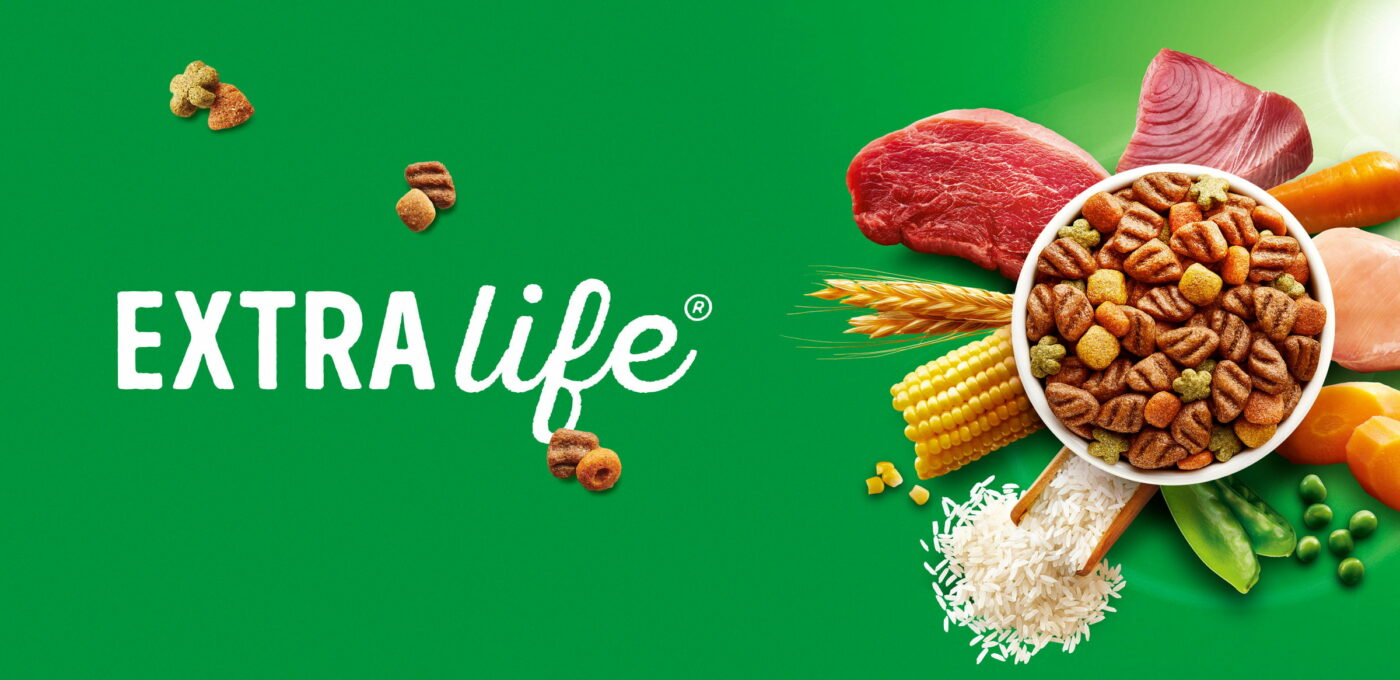 cba latam dogchow single 6 2400x1600 1