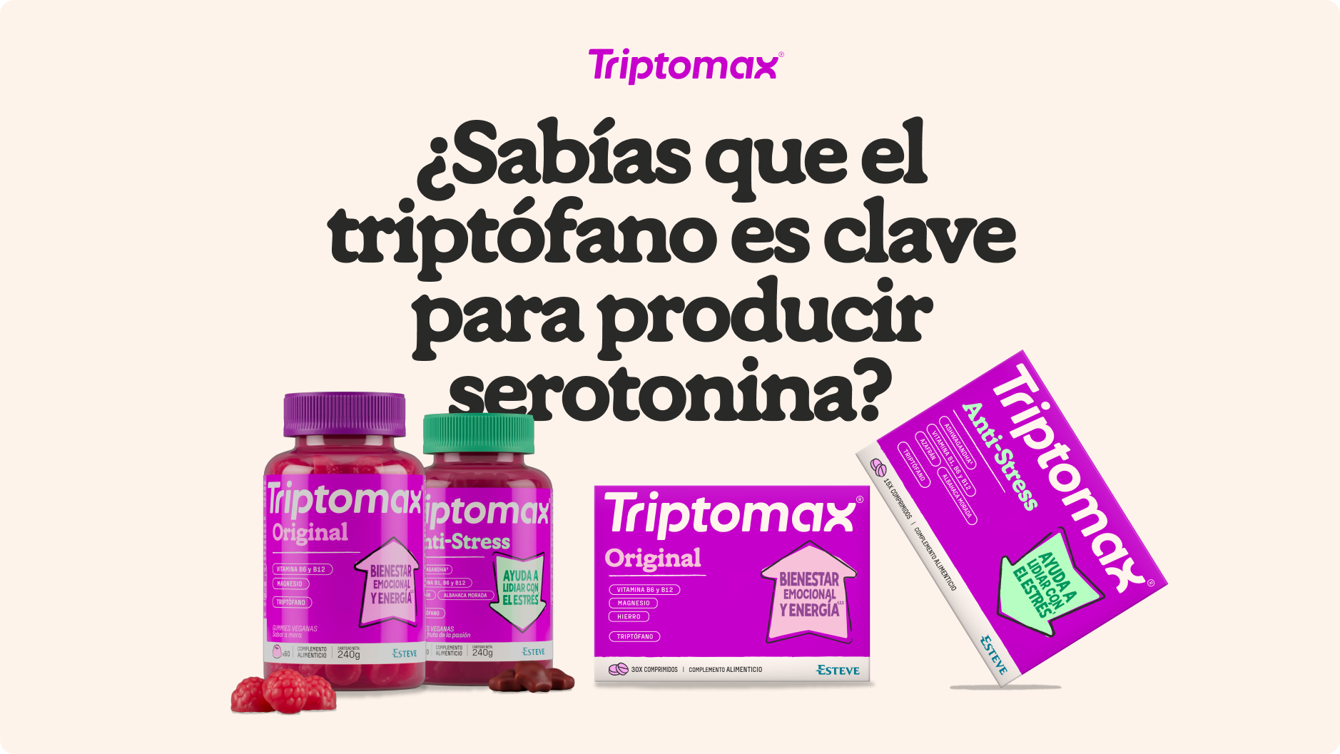 TM WEB 20