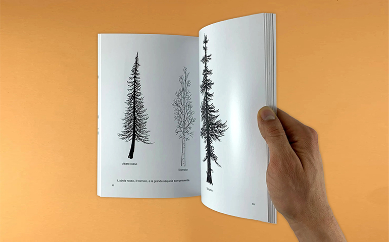 CBA Insight CbaMutti Books about nature 03 Munari Disegnare un Albero