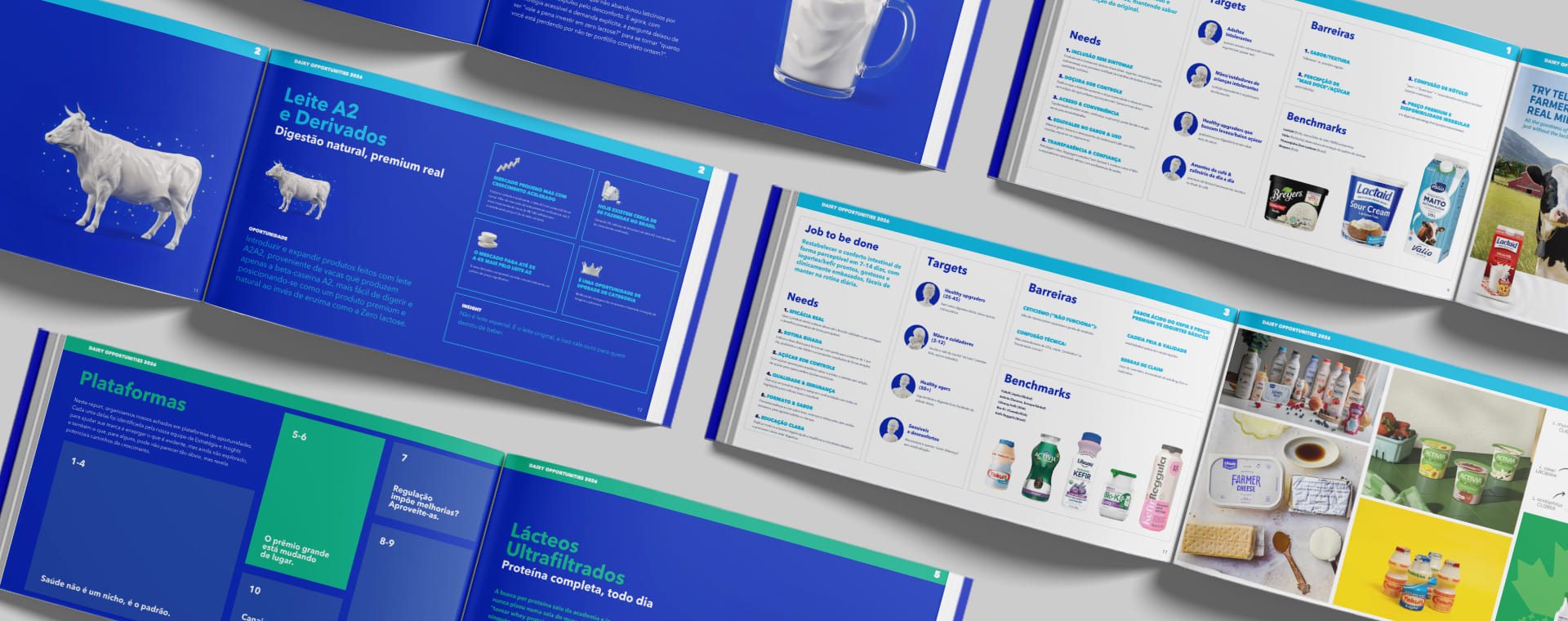 02 LP Dairy Opportunities 01 Desk